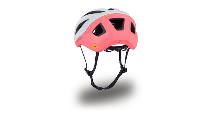 2024 | Search Helmet