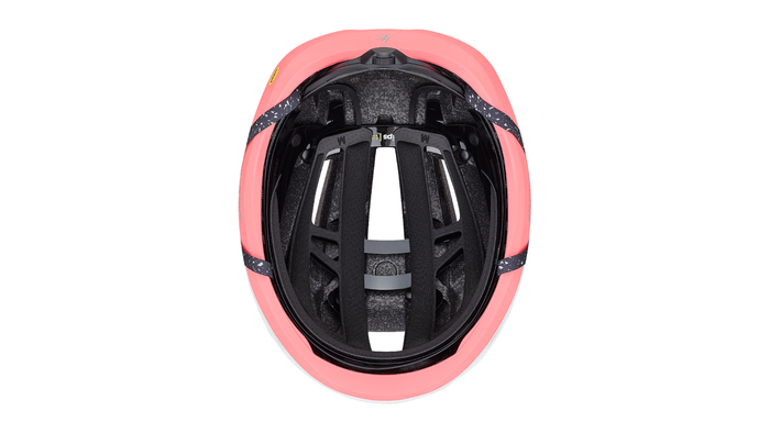 2024 | Search Helmet