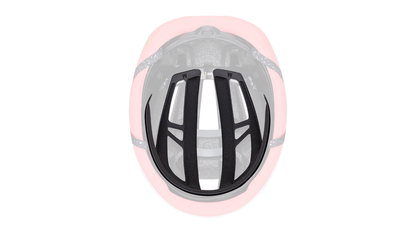 2024 | Search Helmet