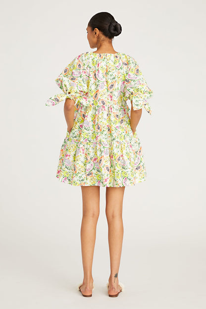 Zayn Day Dress