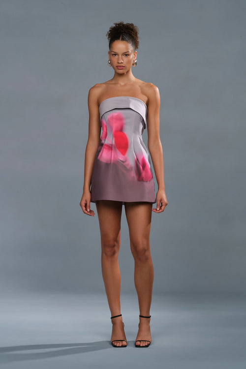 Zelie Mini Dress