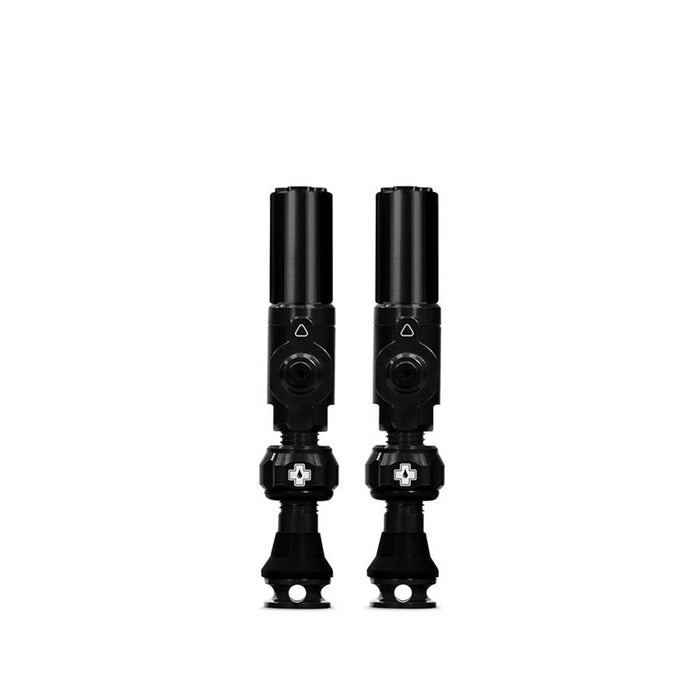 Big Bore Hybrid Tubeless Valves