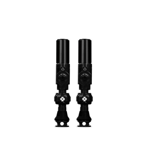 Big Bore Hybrid Tubeless Valves