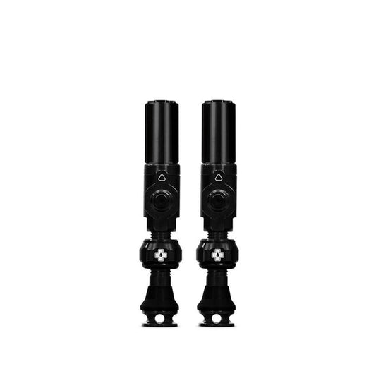 Big Bore Hybrid Tubeless Valves