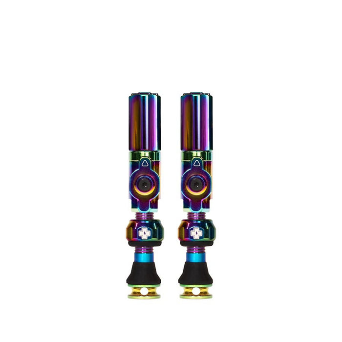 Big Bore Hybrid Tubeless Valves