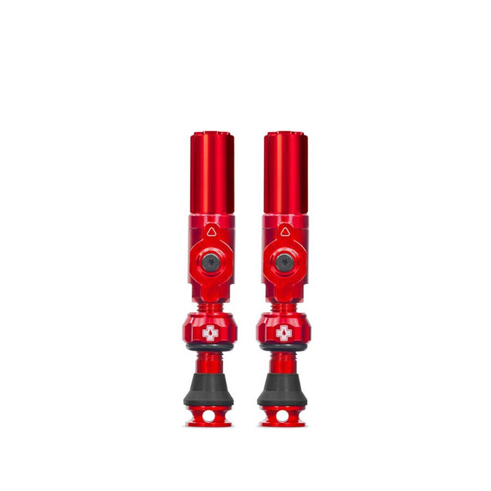 Big Bore Hybrid Tubeless Valves