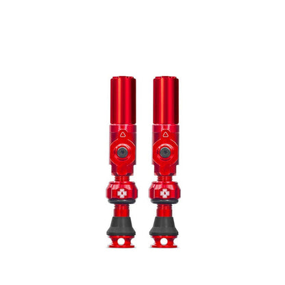 Big Bore Hybrid Tubeless Valves