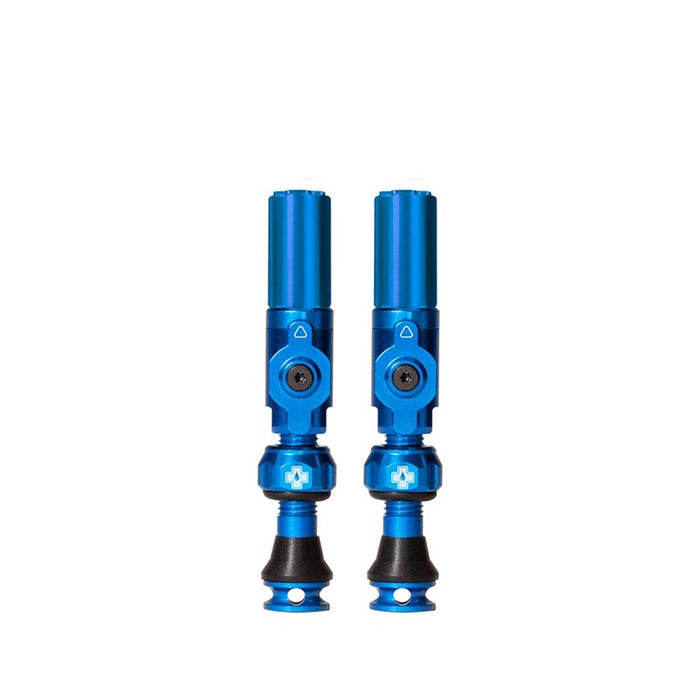 Big Bore Hybrid Tubeless Valves