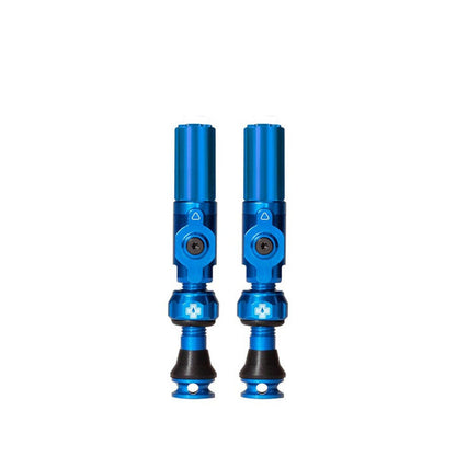 Big Bore Hybrid Tubeless Valves