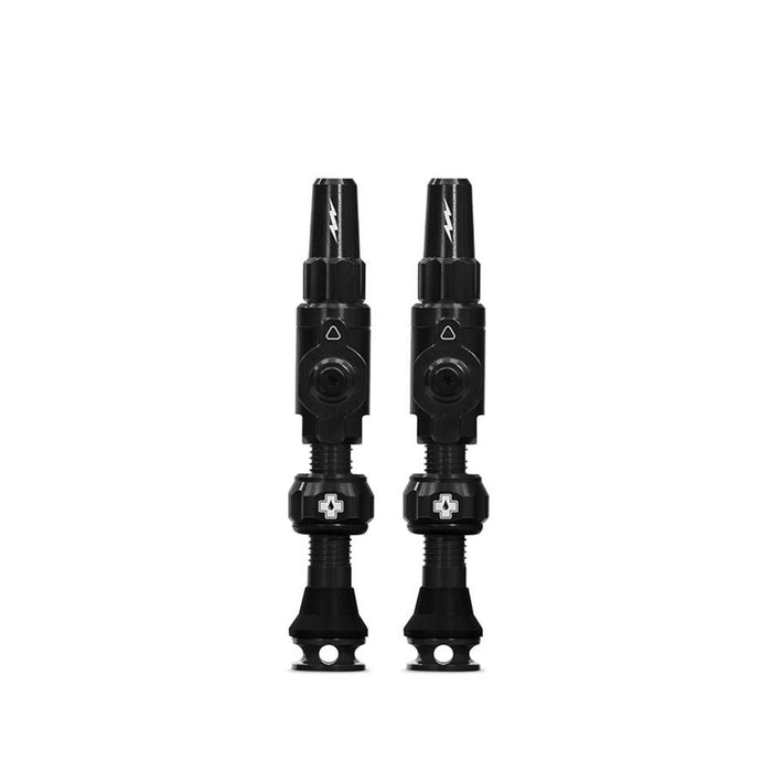Big Bore Hybrid Tubeless Valves
