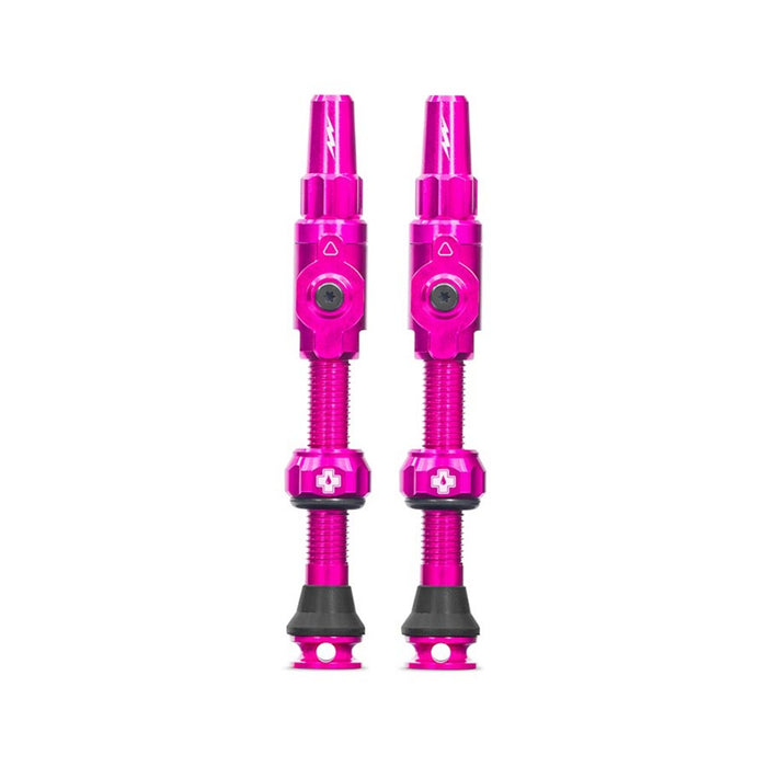 Big Bore Lite Small Tubeless Valves