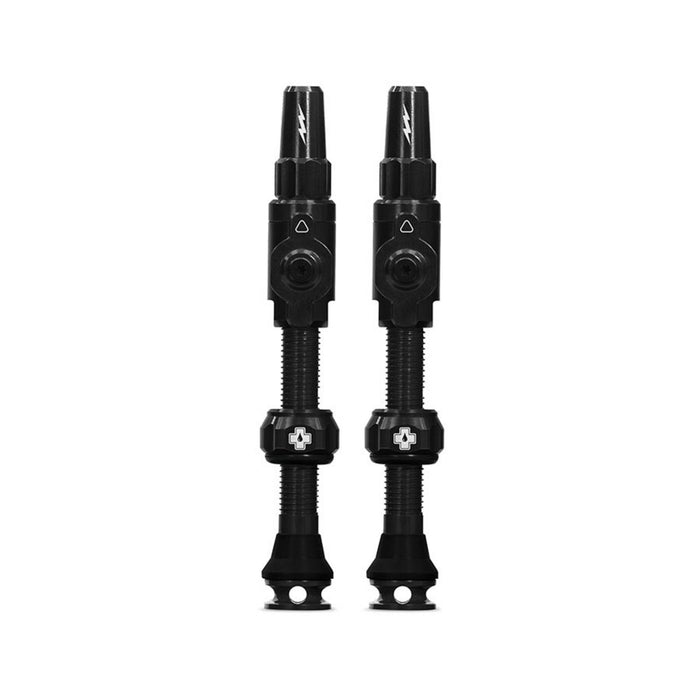 Big Bore Lite Small Tubeless Valves