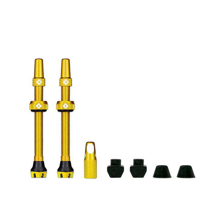 Gold / 60mm