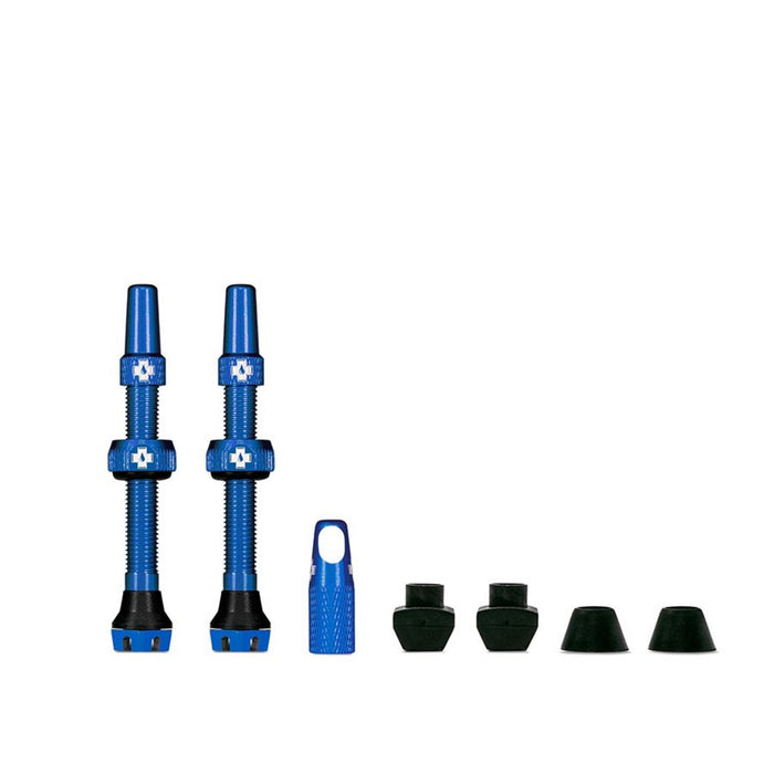 Blue / 44mm